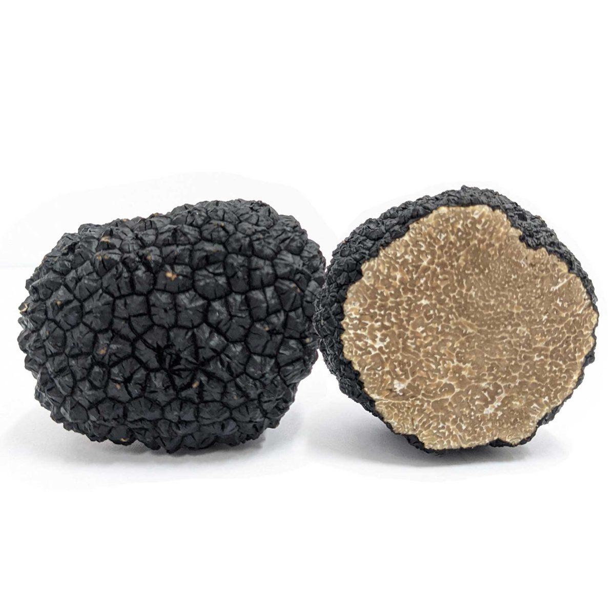 Tartufo Nero Uncinato Fresco Dell'Umbria - Scorzone Invernale, Raccolto In Italia, Confezione Da 100 Grammi